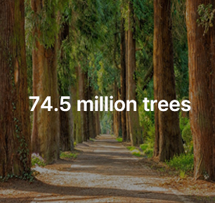Eco_Analysis Image